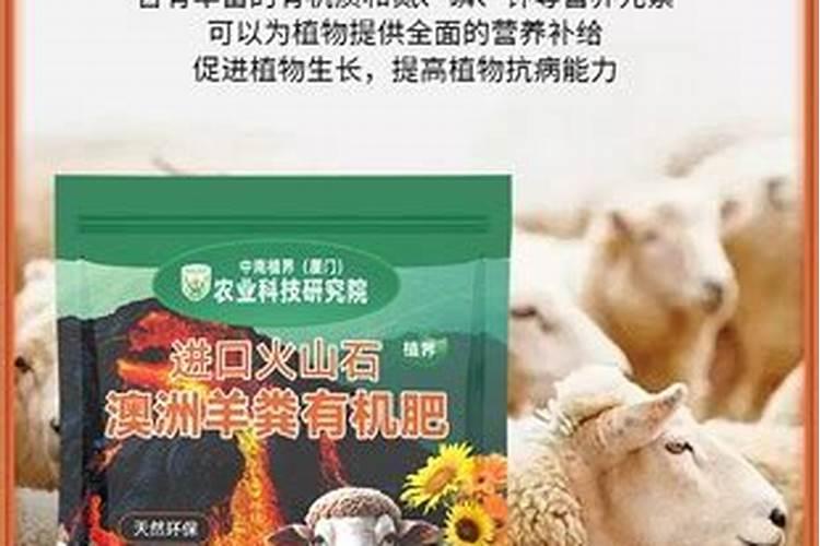 钾盐是什么意思