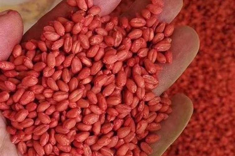 种菜用什么肥料做底肥 种菜的时候用什么做底肥好