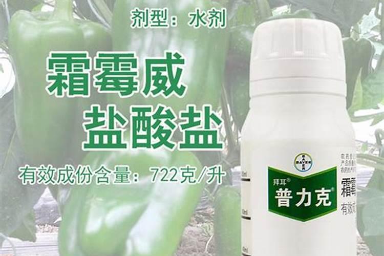 烟草什么时候播种合适