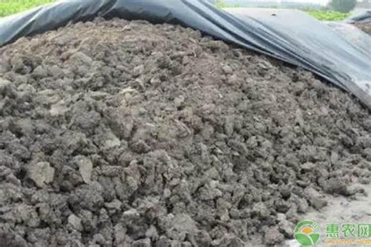 有机肥料的特点及作用