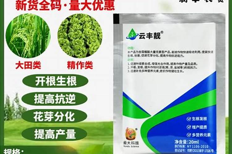 芒果开花结果期种植管理如何做？芒果开花坐果期用什么肥料好
