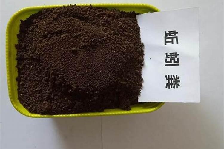 给葡萄施肥用蚯蚓粪肥效果怎么样