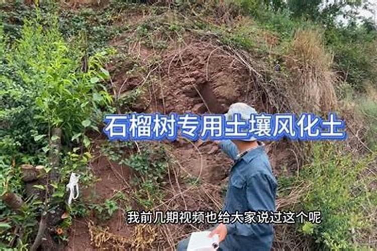 一斤水溶肥兑多少水合适