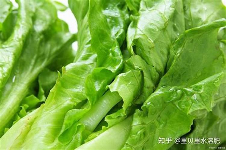 矿源黄腐酸钾和黄腐酸钾的区别