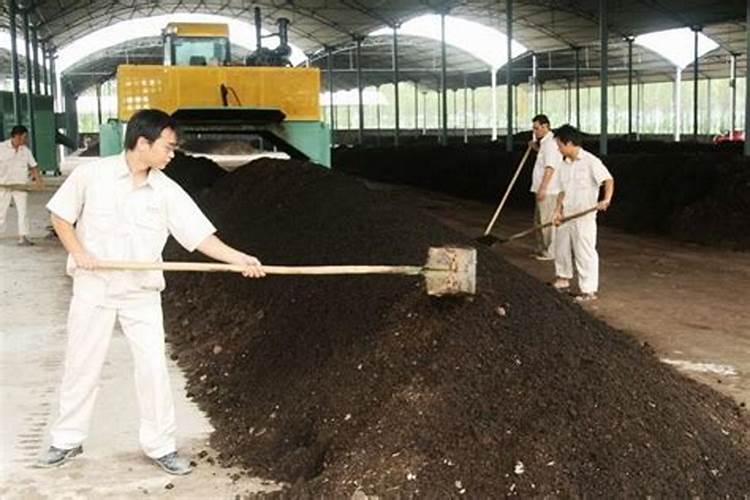 钾肥是什么肥料 植物缺少钾肥会怎么样