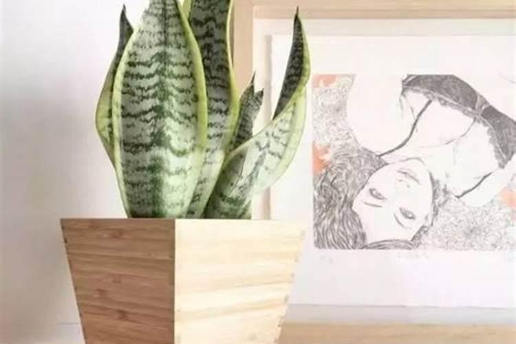这个季节砂糖橘打什么药能控病啊
