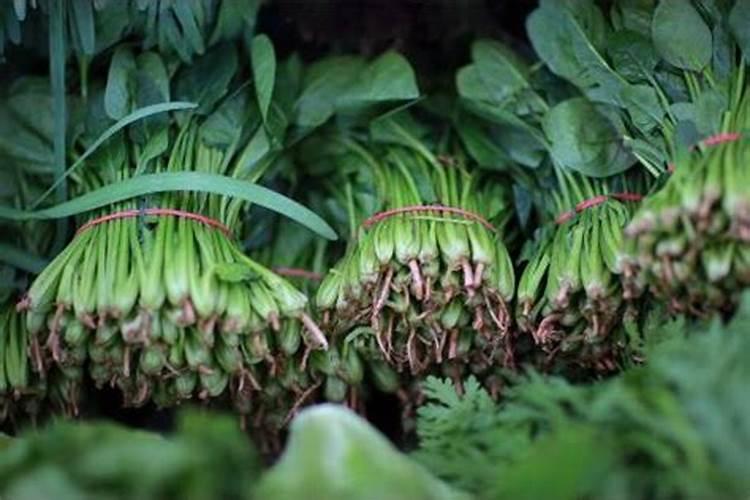 蔬菜叶面肥的蔬菜叶面肥喷施技术