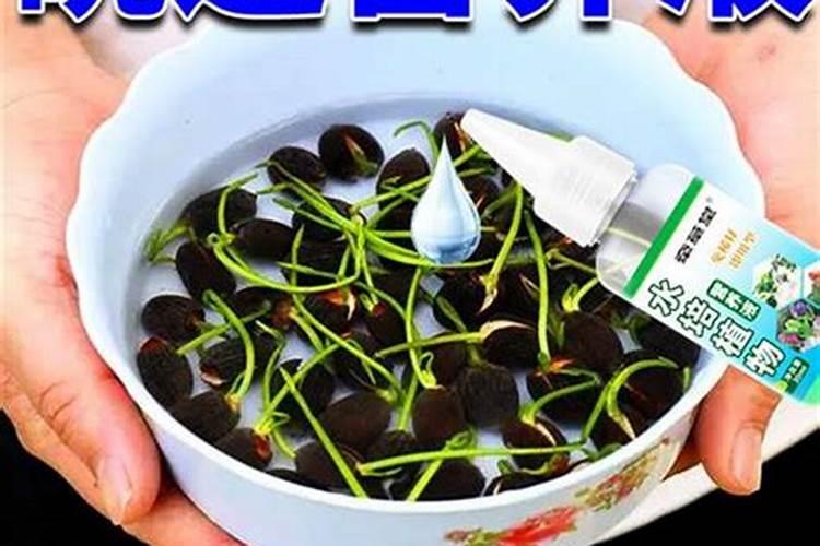 石灰石粉、生石灰、石膏粉、白水泥粉,怎么用加水的方法区分四者？