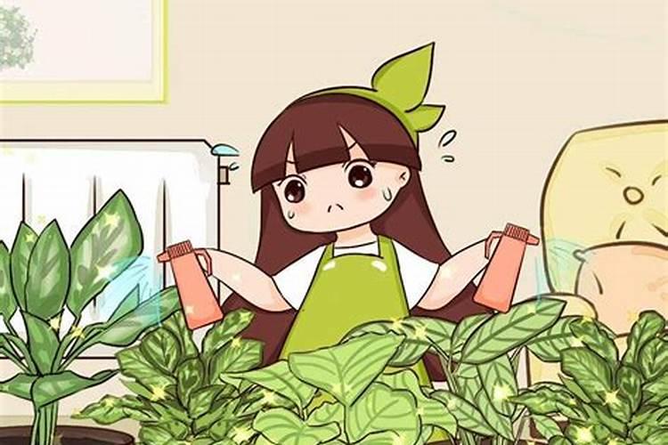 世界水溶肥前十品牌
