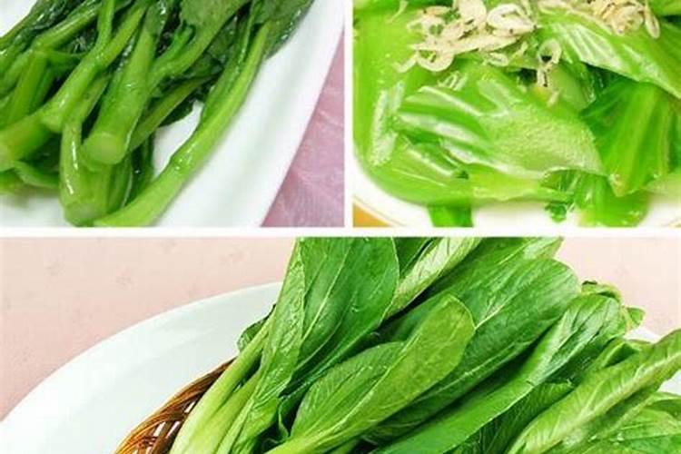 发财树用生根粉泡后多久长根