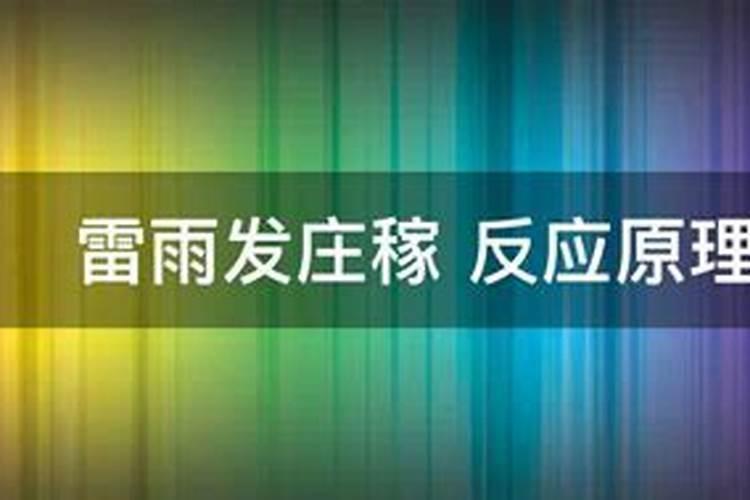 芒果花杆不红打什么药