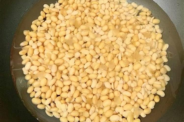 熟黄豆能直接埋入花盆吗 好不好