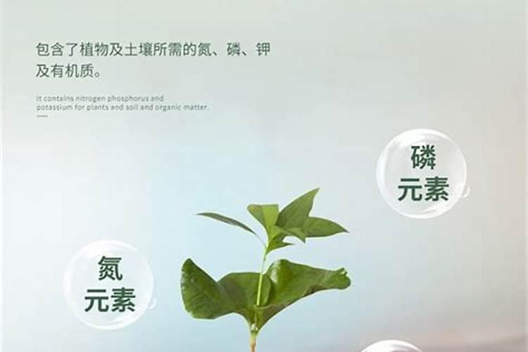 怎样区分氮肥和磷肥和钾肥