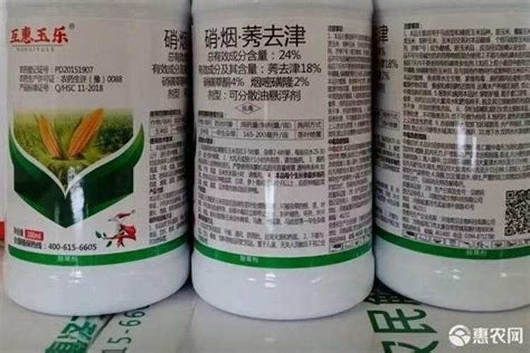 甜瓜打什么叶面肥好？怎样让果实快速膨大？甜瓜增大增甜防裂用“调色师...