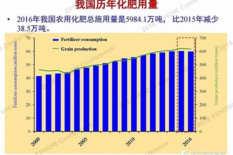 天堂鸟是什么