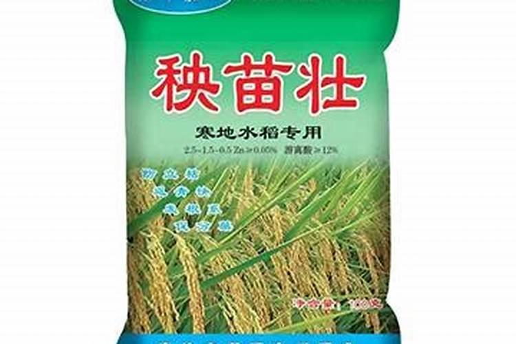 玉米施肥后多久可以浇水