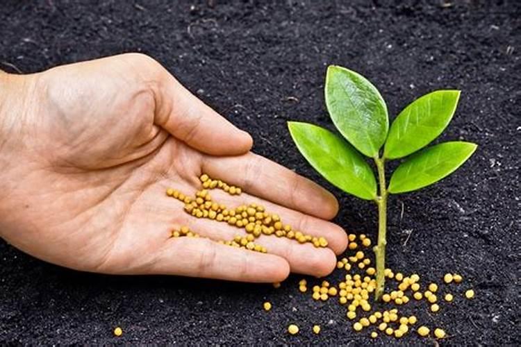 硫酸钾复合肥长时间存放会失效吗？