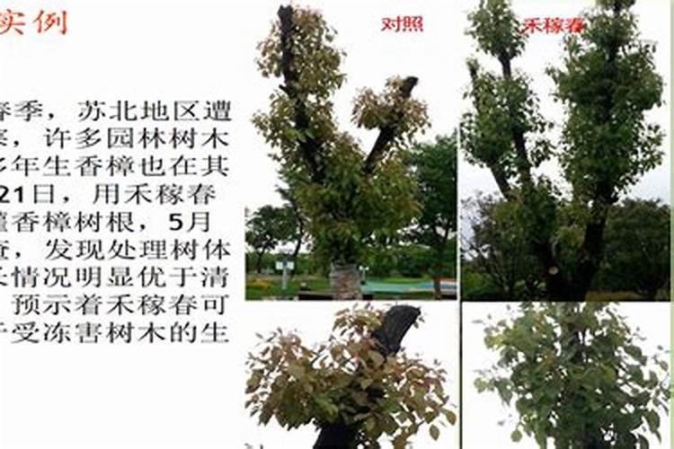 鱼缺氧后能缓过来吗,缺氧怎么办
