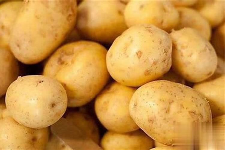 洋芋追肥用什么肥料好 注意事项有哪些