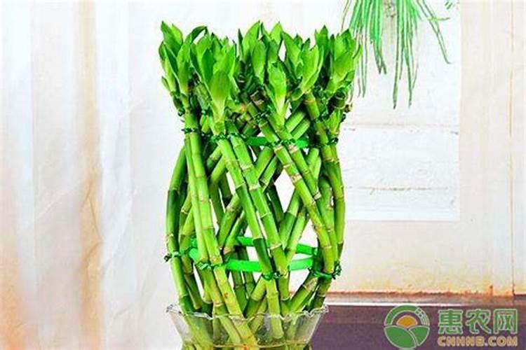松土肥料有哪些 疏松土壤用什么肥料