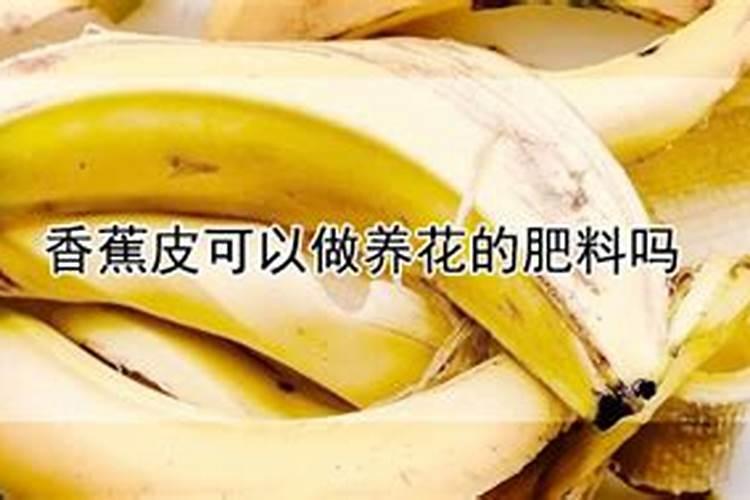 烂香蕉可以做肥料吗