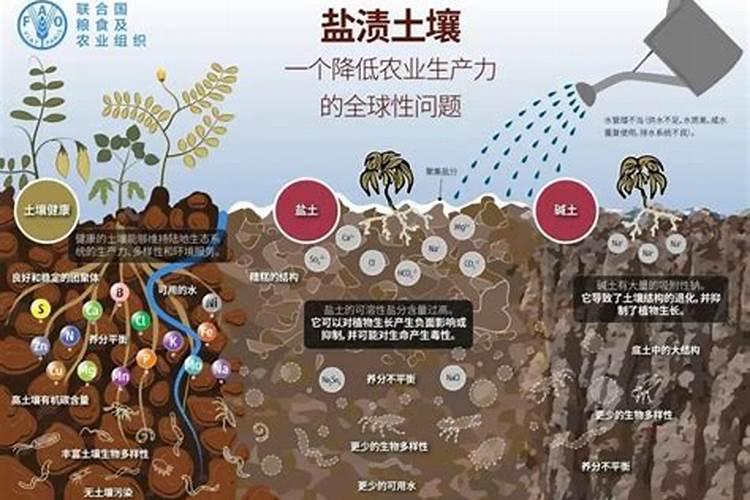 磷肥的正确使用方法