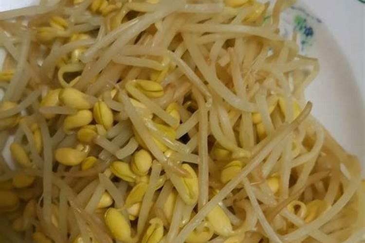 茉莉夏季怎么养长势喜人