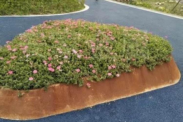 2299硝酸磷钾肥适合什么植物？