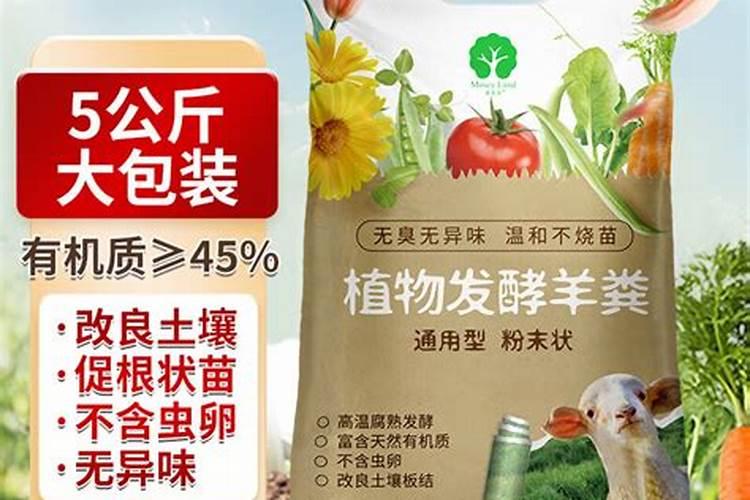 草莓花期可以施肥吗