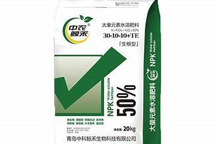 黄豆什么时候追肥合适