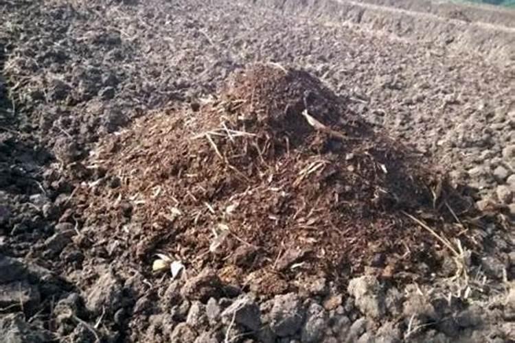 植物型有机肥中加石灰会改变营养元素吗？