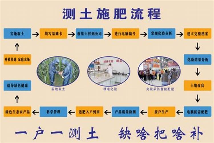 怎么种植番茄,番茄种子培育施肥方法
