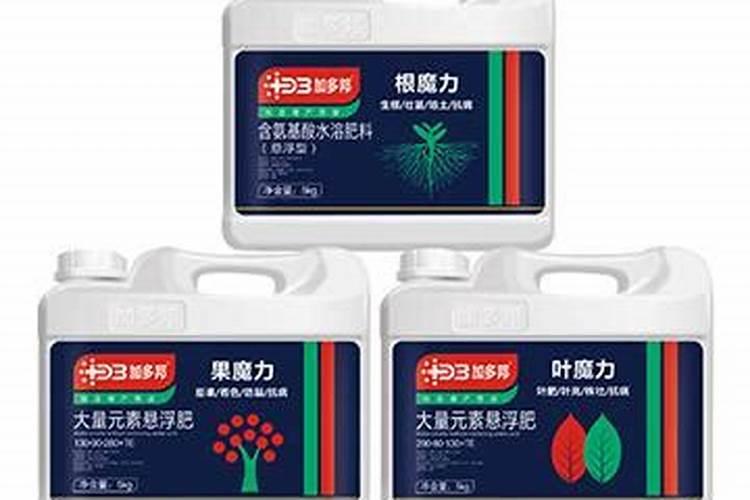 月季叶片发红是怎么回事 有什么解决的方法