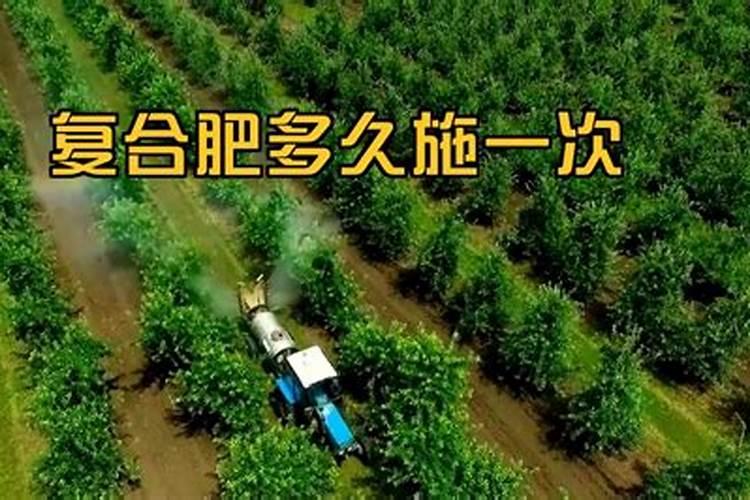 柠檬树多久施肥 柠檬树应该多久施肥？