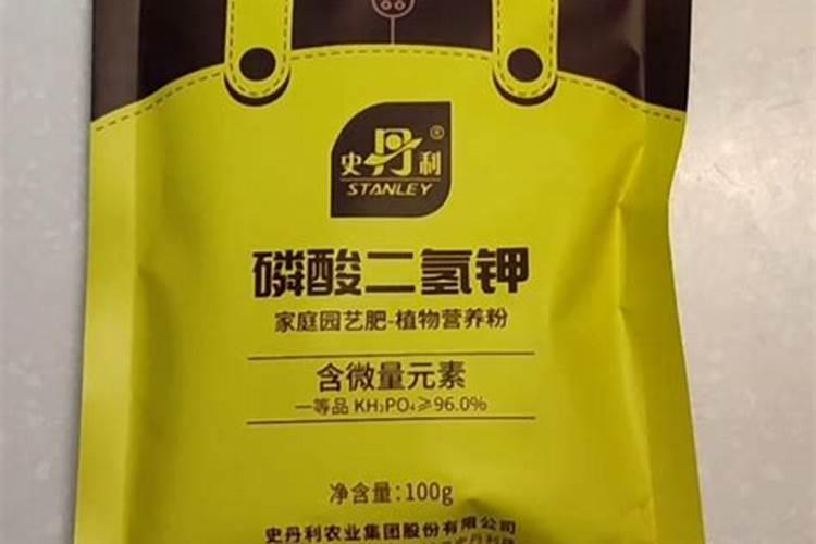 桔子树什么时候剪枝最好
