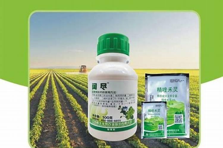 打完除草剂多久可以打叶面肥