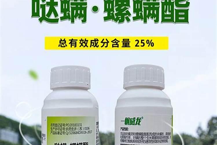 玉米幼苗喷芸苔素后果会怎样