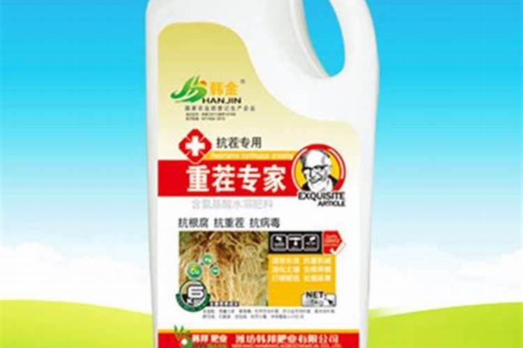 哈密瓜常年重茬用什么肥料基肥？