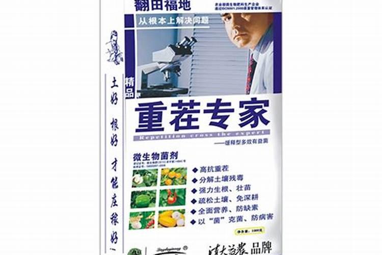 草莓重茬怎么办？