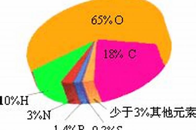 组成玉米的基本元素是什么