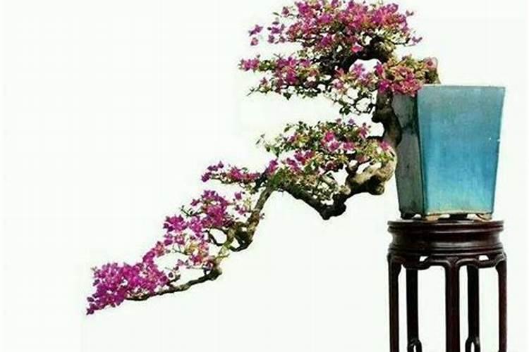 葡萄二茬釆摘后如何喷叶面肥？