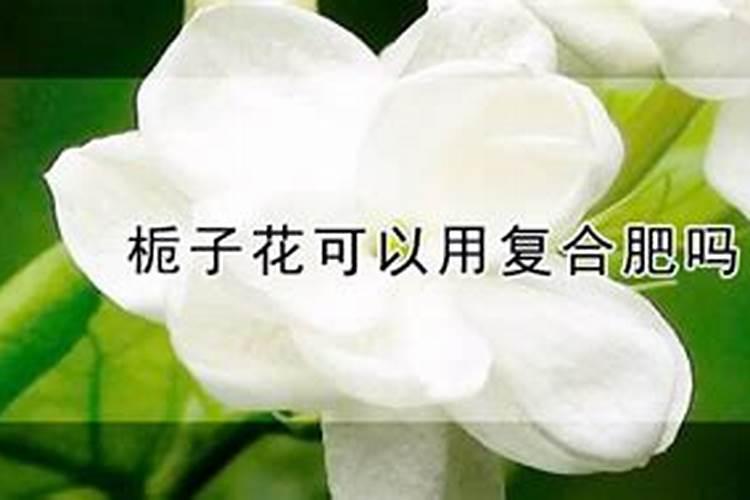 锌肥的作用与功效