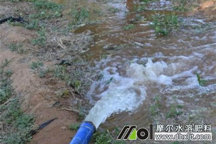 尿素溶解在水里在浇地可以吗