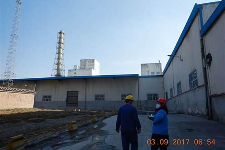 柑橘树小苗施什么肥好 如何施肥效果好