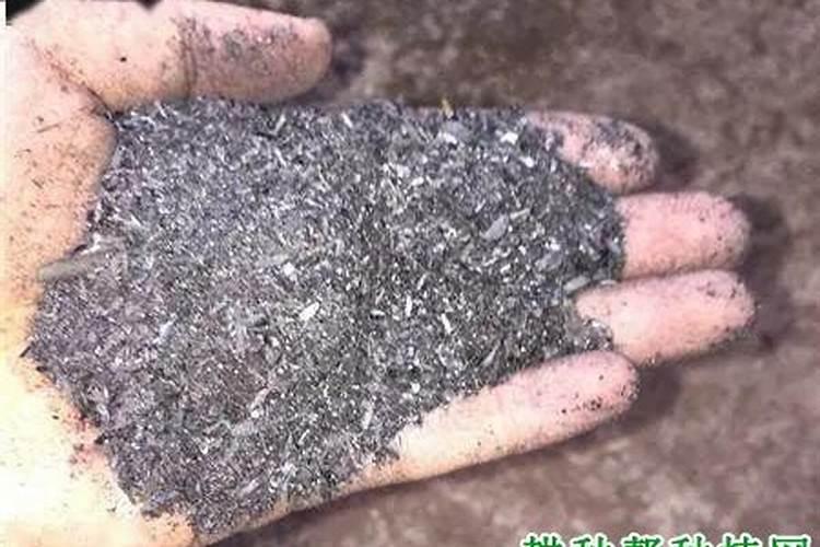 草木灰什么时间施最好？