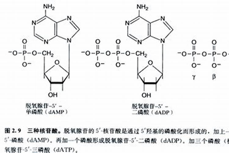 焦磷酸钾是危险品吗
