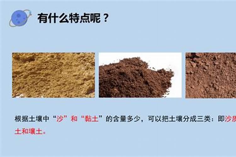 棉花的磷肥有哪些作用？