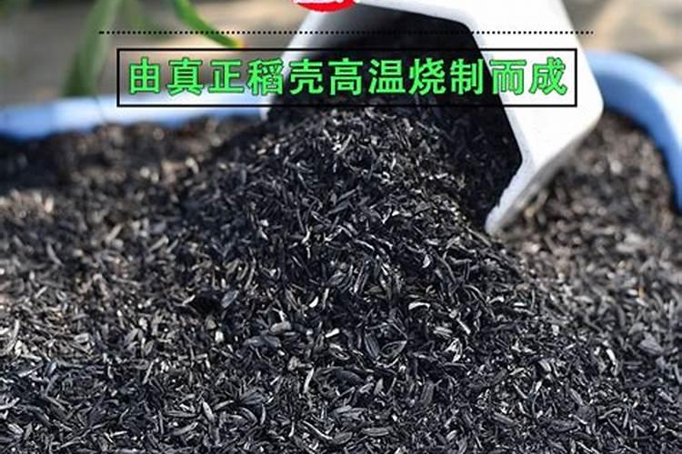 如何给花施化肥