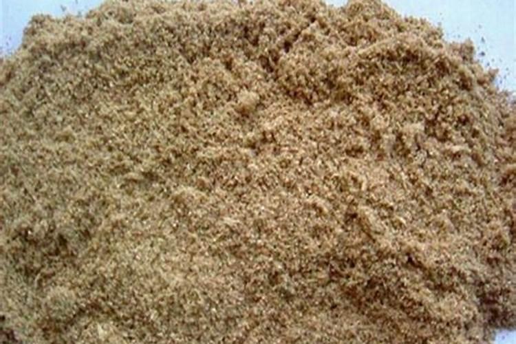 过期啤酒浇花的正确方法是什么？