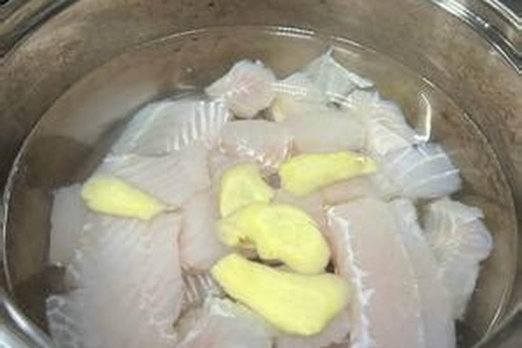 种菜地底肥用什么肥料最好